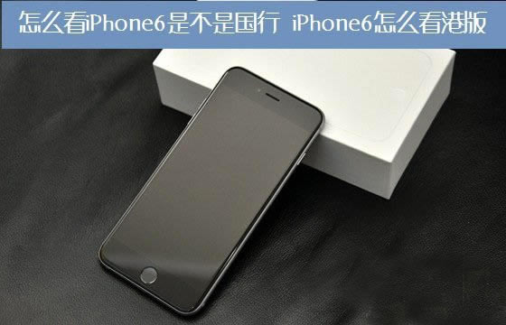 ôiPhone6ǲǹУ 