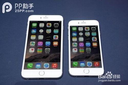 iPhone6 PlusôiPhone6̷̳