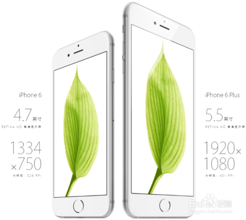 iPhone6 & PlusĤȫĤôĤ̳