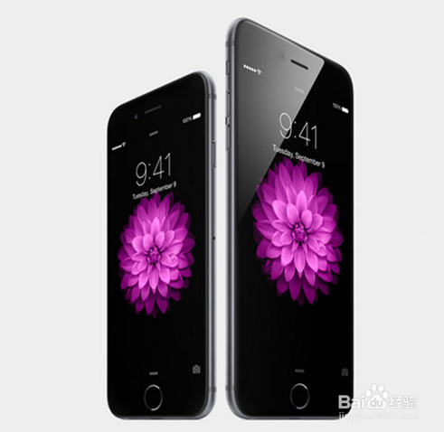 iPhone6 Plus۰ôԤ?iPhone6۰ԤԼ