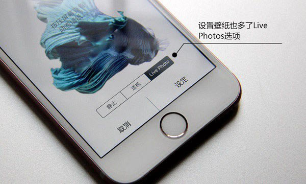 Live Photosʲô iPhone7ôرLive Photos