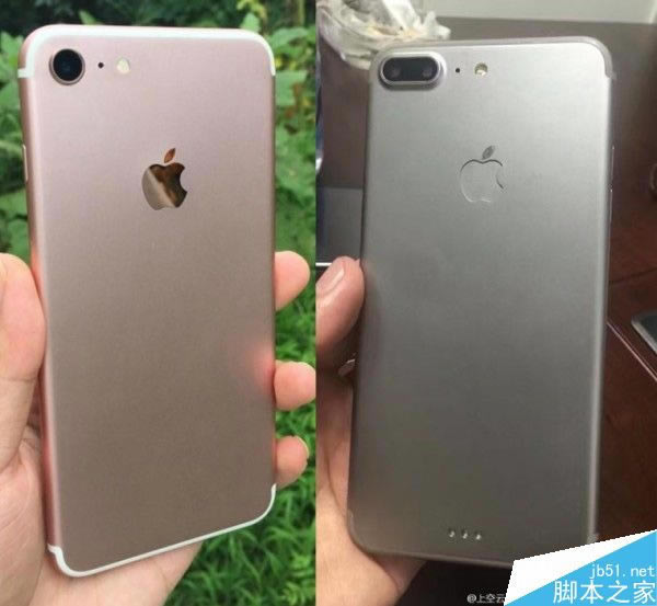 iPhone 77 Plus7 Proع⣡