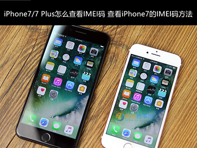 iPhone7/7 Plus IMEI ô鿴  iPhone7/7 Plus鿴IMEIַ_ƻֻ_ֻѧԺ_վ