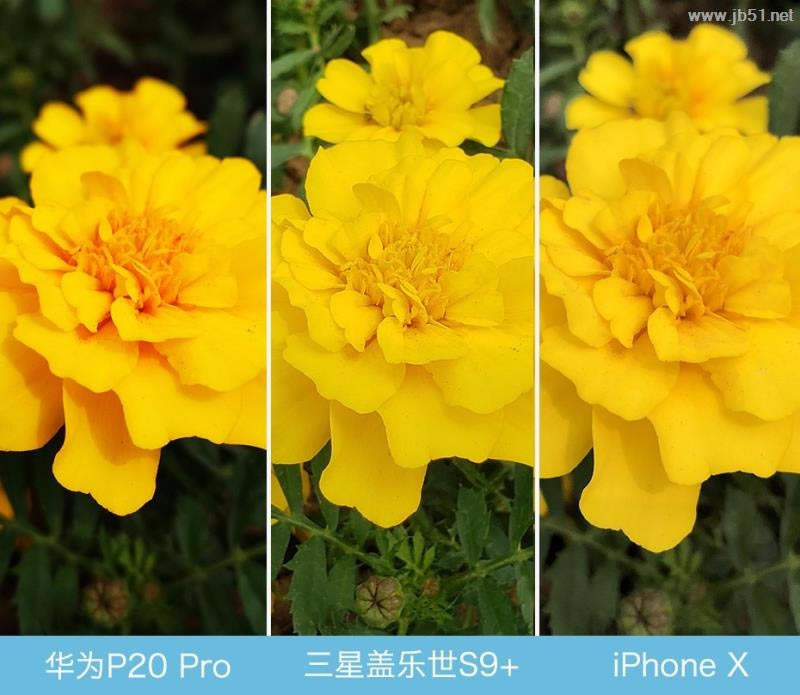 ΪP20 ProS9+iPhone XռĿãΪP20 ProS9+iPhone XԱ_ֻ_ֻѧԺ_վ