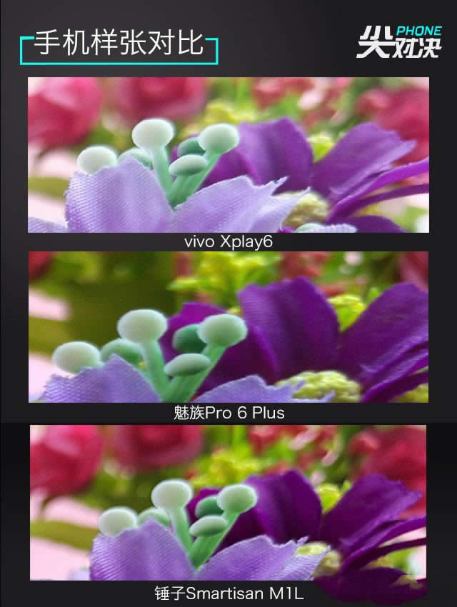 vivo//NŞC(j)(du) ЈD