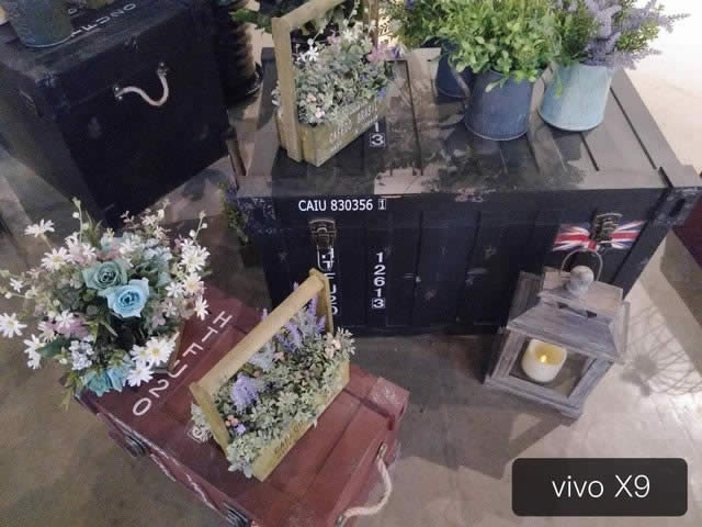 Pro6Plusvivo X9Ă(g)պãر^