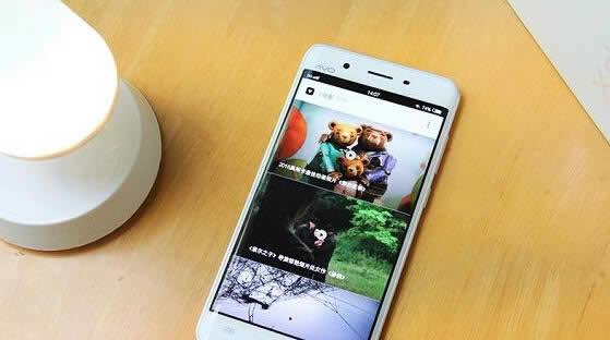 vivo Xplay5OúÆ