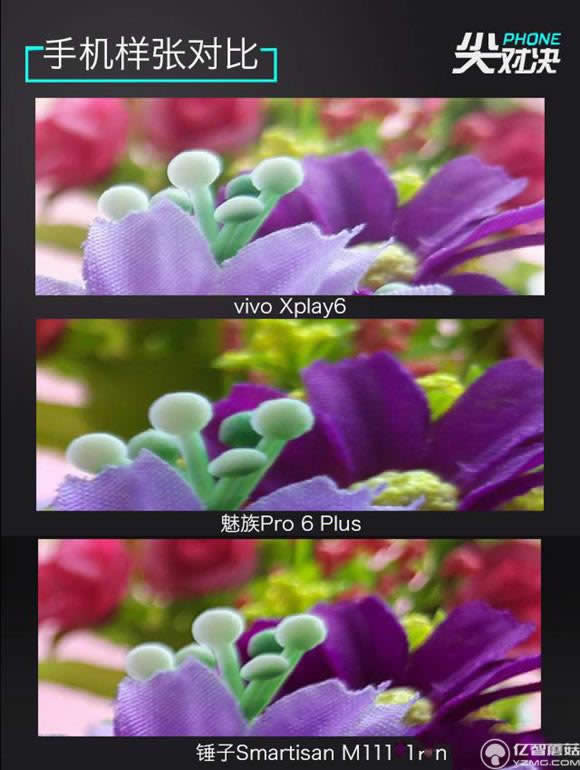 vivo//NŞC ЈD