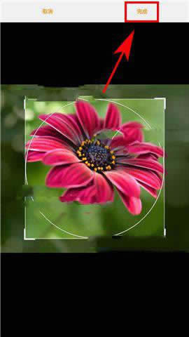 C9ProOʹϵ^