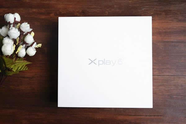 vivoȫŞXplay 6_䣺̫@G