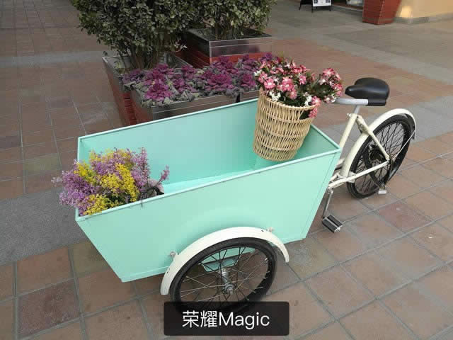 sҫMagiccvivo Xplay6һպpz՘ӏ^