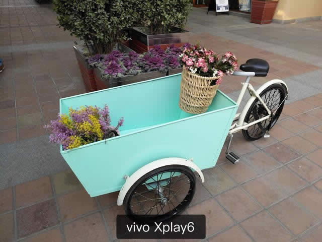 sҫMagicvivo Xplay6ĂպãpzPK