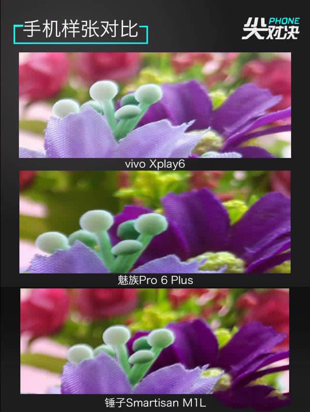 vivo//NŞC ЈD