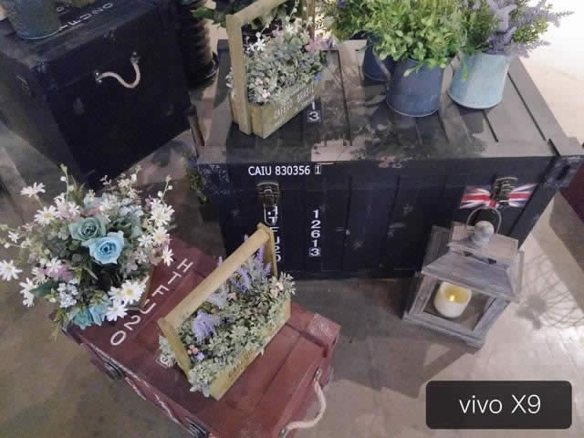 Pro6Plusvivo X9Ăպãر^