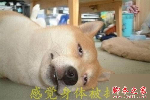 t3Sͼt3/t3X/tNote3^(q)e(du)Ԕ(x)u(png)y(c)tϵ֙C(j)Ă(g)ã_֙C(j)u(png)y(c)_֙C(j)W(xu)Ժ_վ