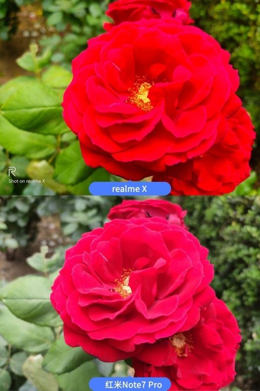 realme XͼtNote7 ProĂպ realme XtNote7 ProЧȫuy_֙Cuy_֙CWԺ_վ