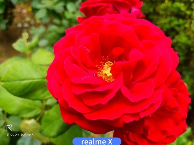 realme XͼtNote7 ProĂպ realme XtNote7 ProЧȫuy_֙Cuy_֙CWԺ_վ