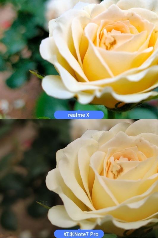 realme XͼtNote7 ProĂպ realme XtNote7 ProЧȫuy_֙Cuy_֙CWԺ_վ