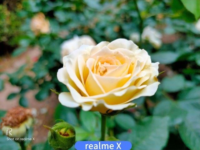 realme XͼtNote7 ProĂպ realme XtNote7 ProЧȫuy_֙Cuy_֙CWԺ_վ