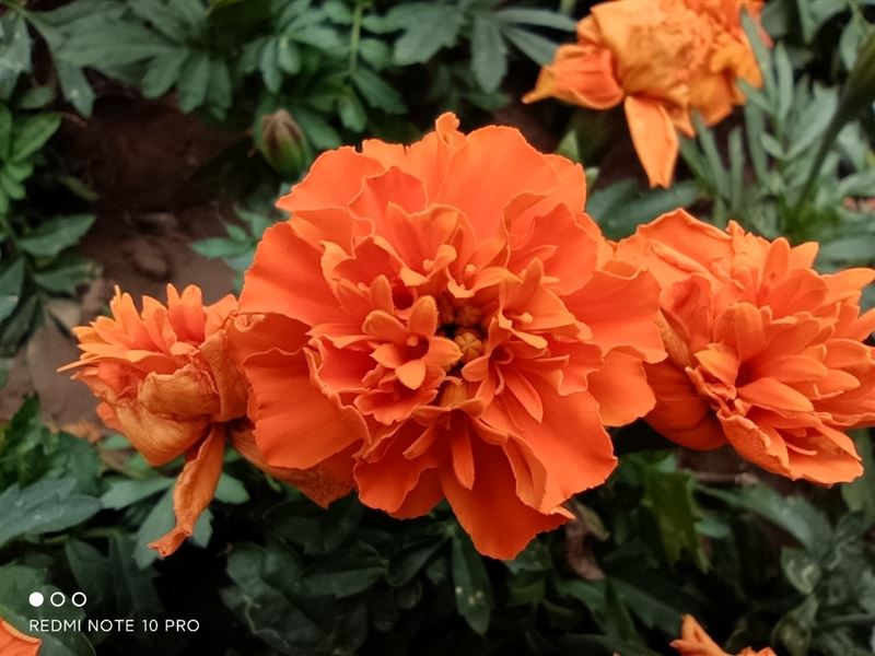 Redmi Note 10 Proò Redmi Note 10 Proʹw(yn)_֙C(j)u(png)y(c)_֙C(j)W(xu)Ժ_վ