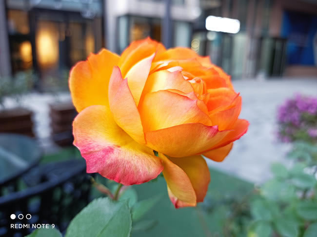 Redmi Note 9 5G Redmi Note 9 5G_ֻ_ֻѧԺ_վ